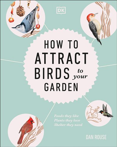 How to Attract Birds to Your Garden: Foods they like, plants they love, shelter they need