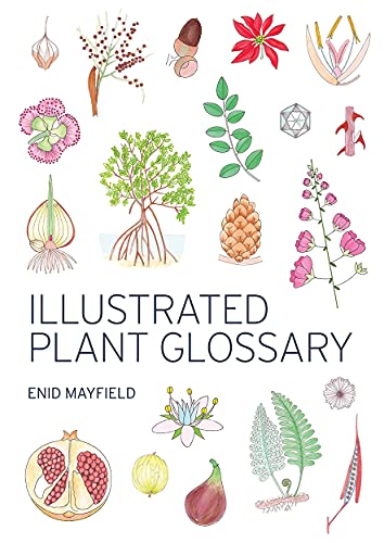 Illustrated Plant Glossary